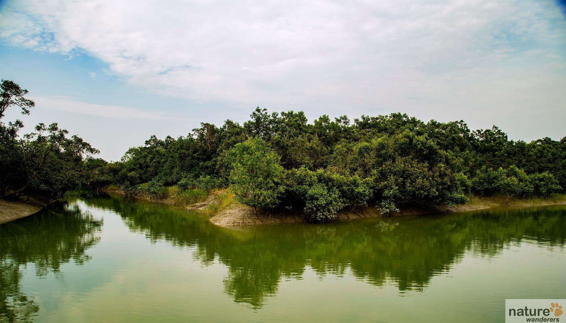 Sundarbans National Park Best Time Visit Indian National Parks