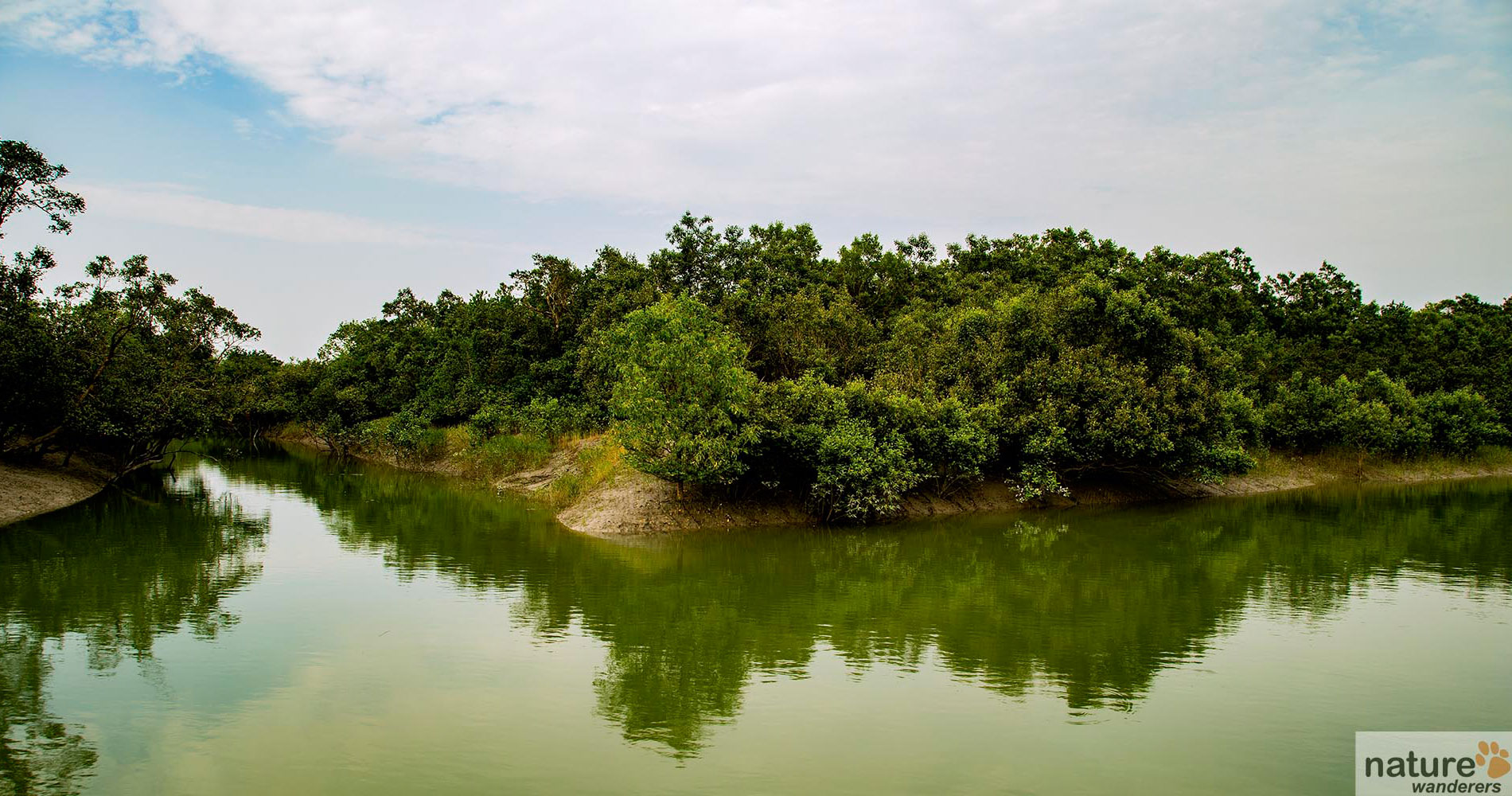 visit sundarbans national park