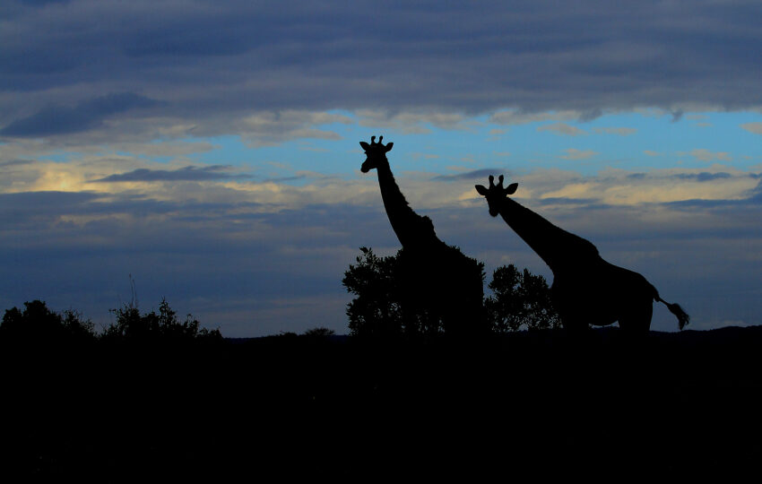 Tanzania-01