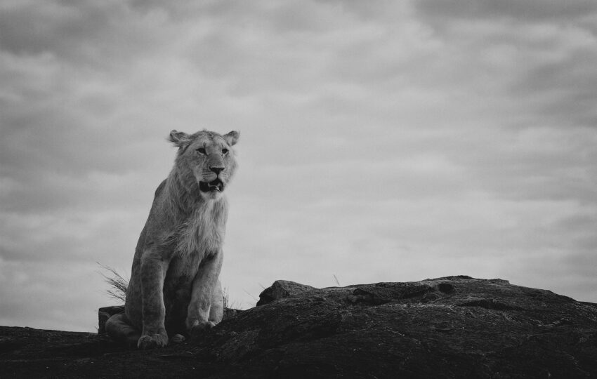Tanzania-02
