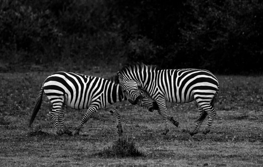 Tanzania-03