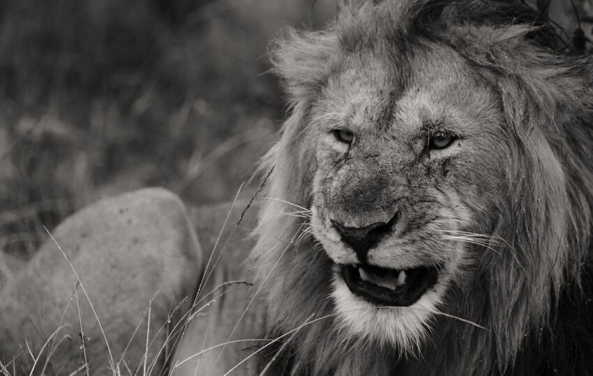 Tanzania-04