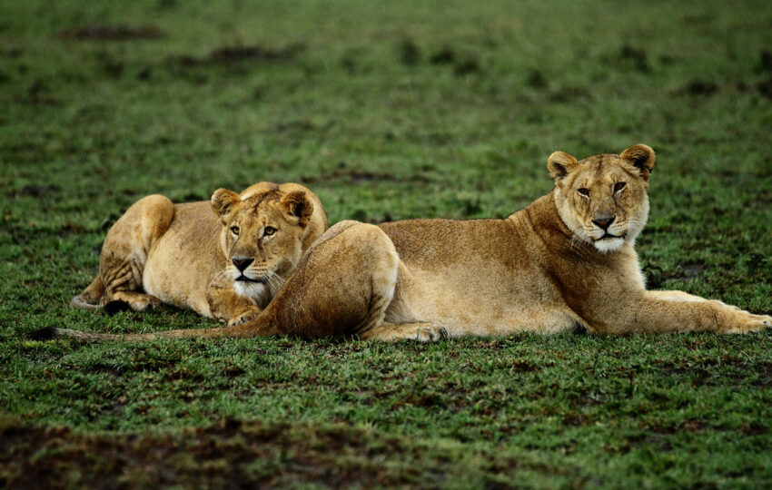 Tanzania-06
