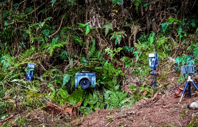 Our all-terrain camera trapping setup