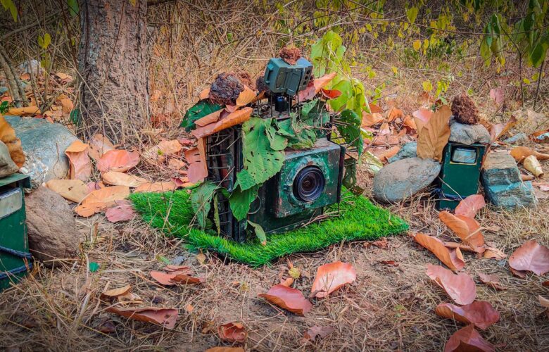 Our elephant proof camera trapping setup