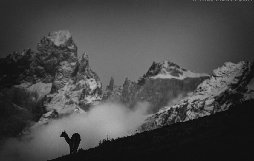 Chile-G06 (1)