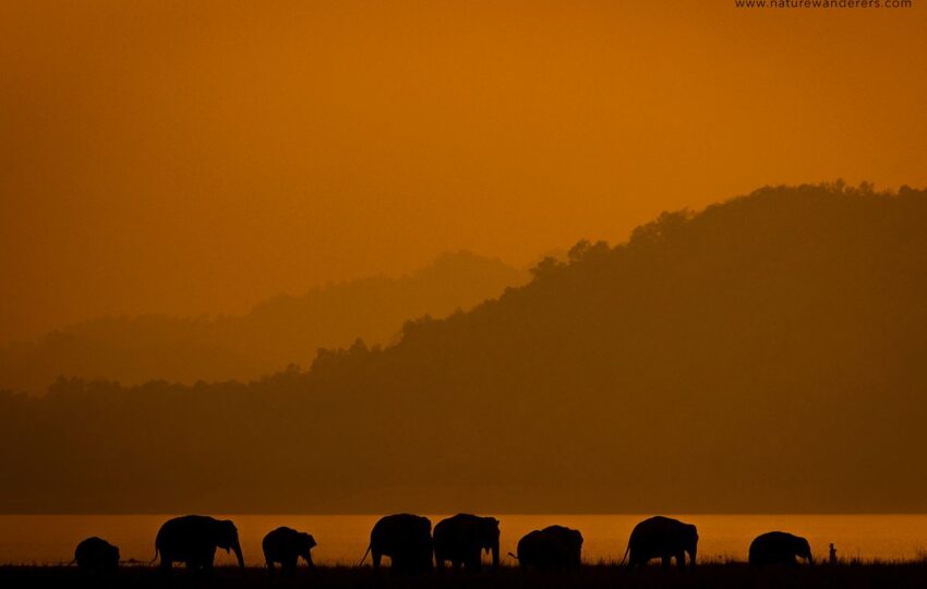 Corbett-G05