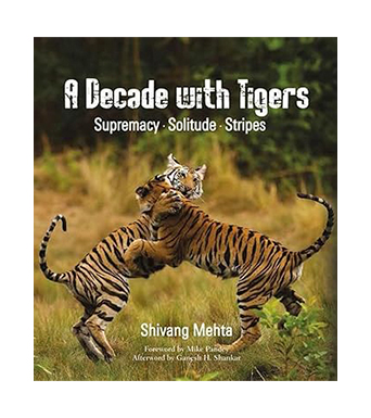 Decade with tigers