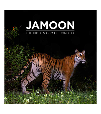 Jamoon