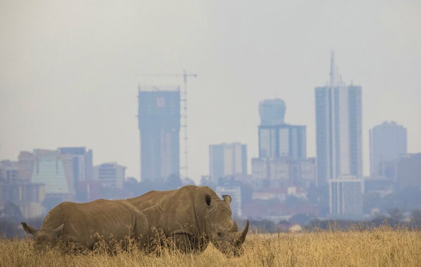 Nairobi-G04