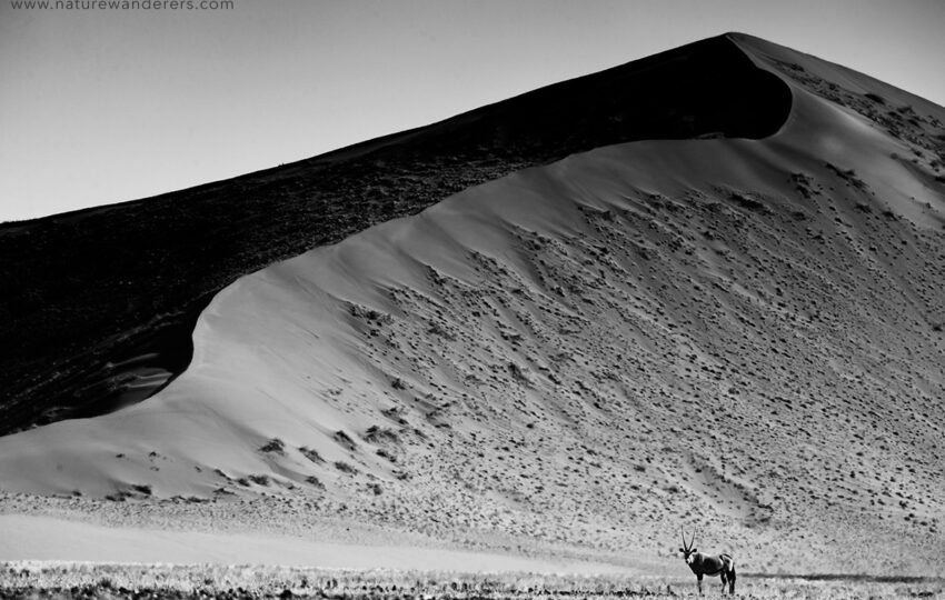 Namibia-G02