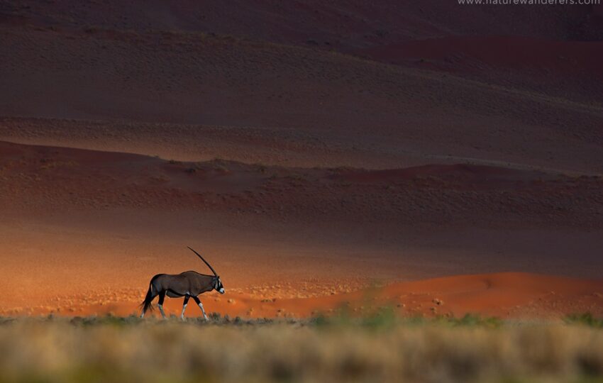 Namibia-G04