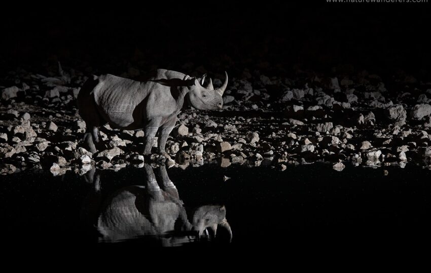 Namibia-G05