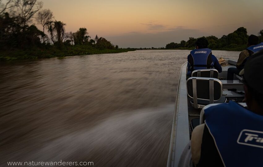 Pantanal-G03 (1)