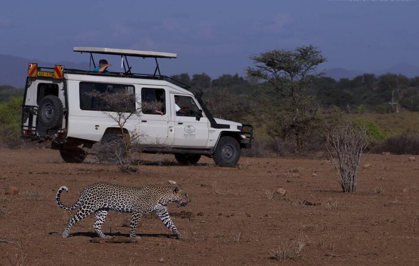 Samburu-G06