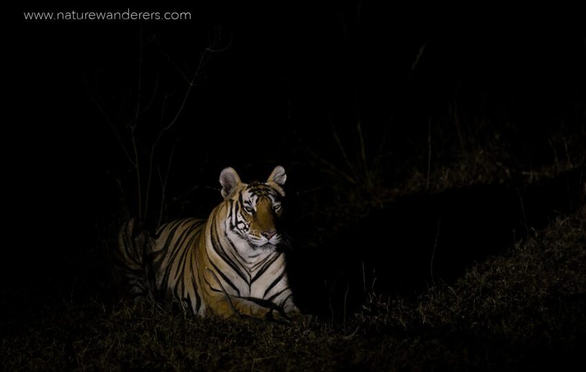 Satpura-G04