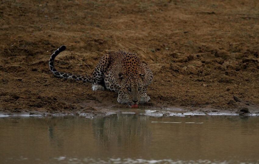 SriLanka-G03