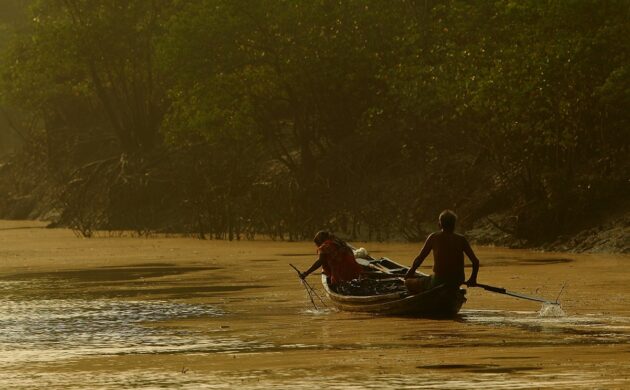 Sundarban G02