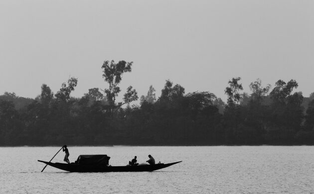 Sundarban G04