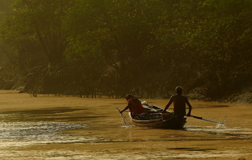 Sunderban-G02