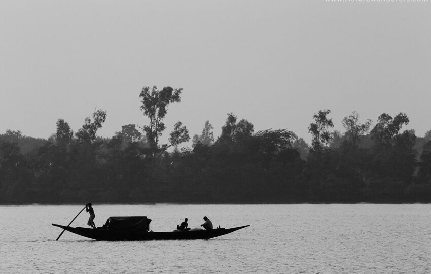 Sunderban-G04