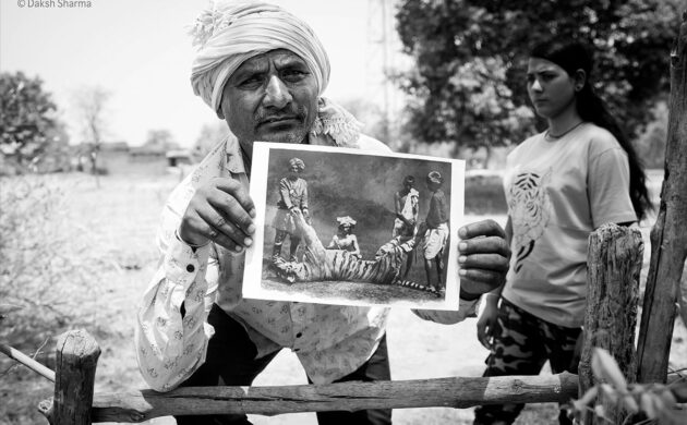 Wild Clicks 4 WildClicks 03