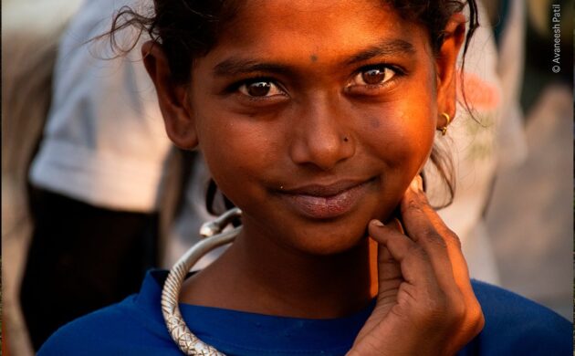 Wild Clicks 6 WildClicks 05