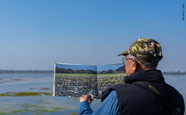 Wild Clicks 12 WildClicks 11