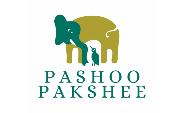 logo Pashoo