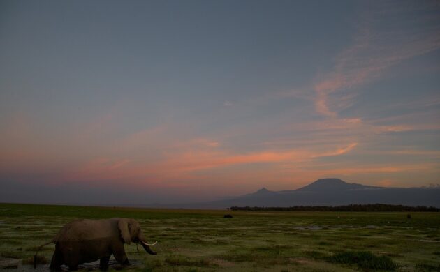 Kenya Underground 1 Kenya Underground 01