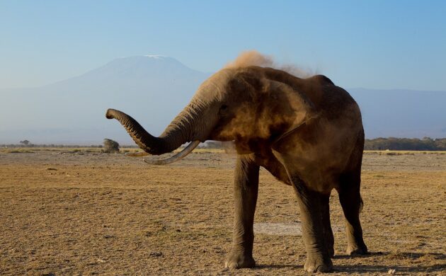 Kenya Underground 2 Kenya Underground 02