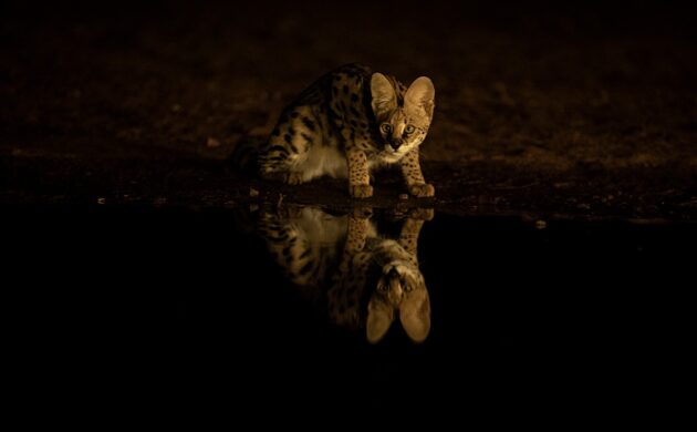 Kenya Underground 4 Kenya Underground 04