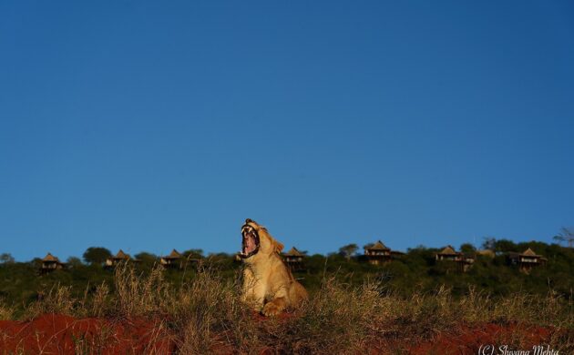 Kenya Underground 6 Kenya Underground 06