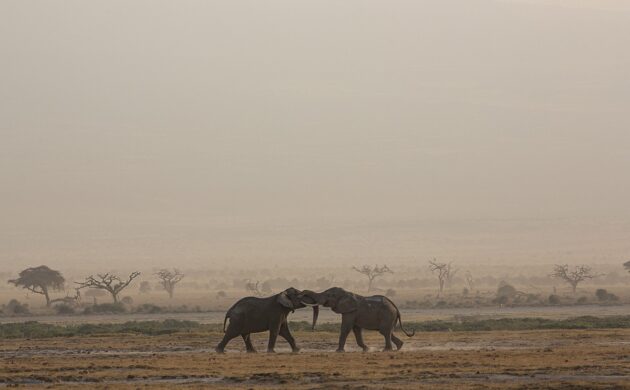 Kenya Underground 7 Kenya Underground 07