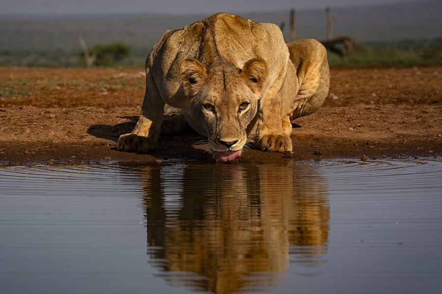 Thumb Kenya Underground